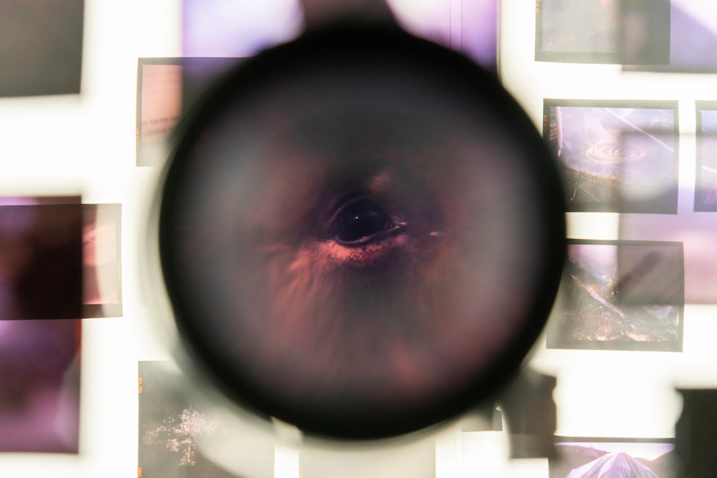 Imagen de la obra 3