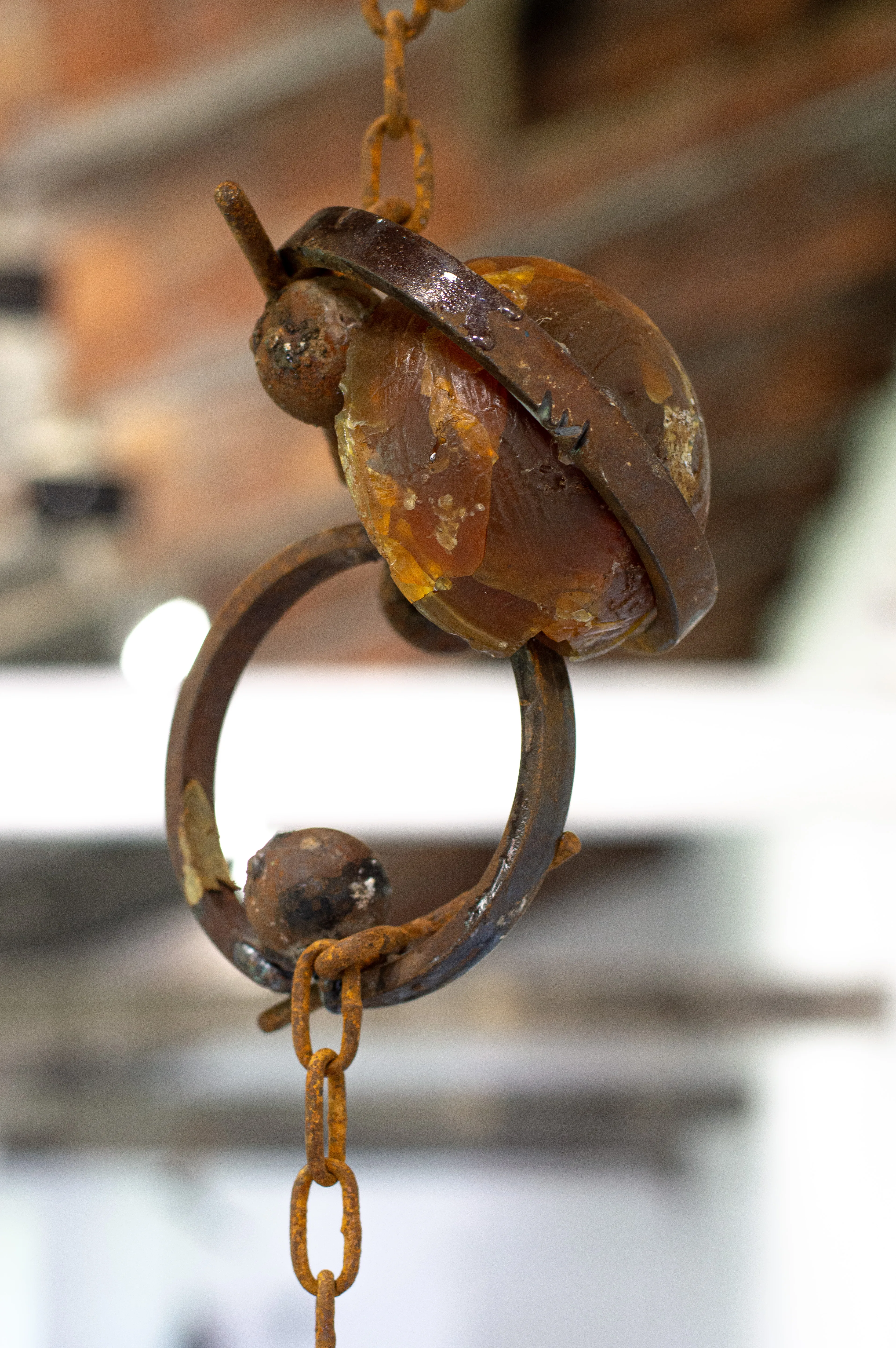 Imagen de biografía