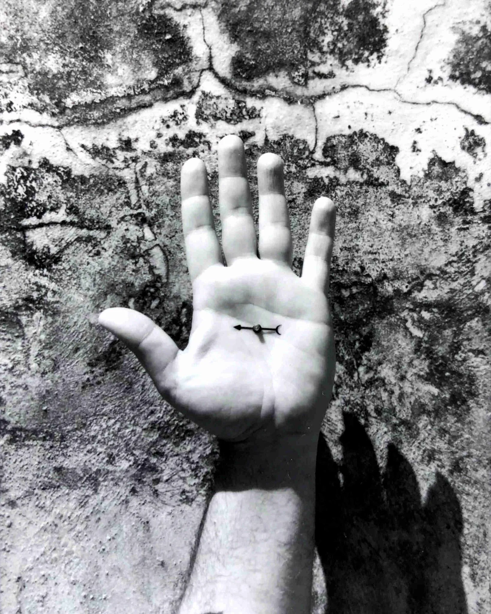 Imagen de la obra 2